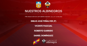 Cuatro jugadores del Castellón – ASORCAS convocados por la Selección
