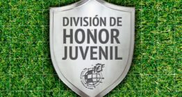 Oficial: subgrupos y calendario del Grupo VII de División de Honor 20-21