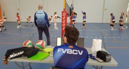 La Federación de Voleibol de la CV exige el cese del presidente del Comité de Árbitros por amenazas