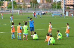 FDM València aprueba la bonificación de las instalaciones deportivas por valor de 800.000 euros